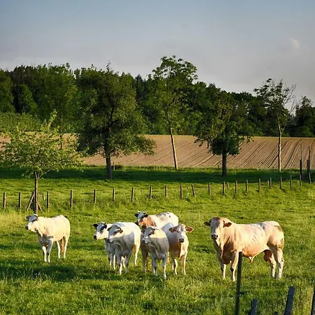 De Bloesem